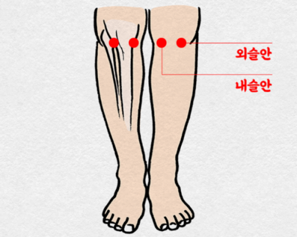 ▲무릎 주변 근육과 관절 강화에 ‘슬안혈’ 지압이 효과적이다.(자생한방병원)