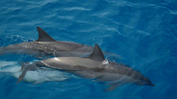 ▲'여행의맛'(사진제공=TV조선)