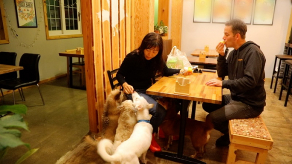 ▲'동물극장 단짝'(사진제공=KBS 1TV)