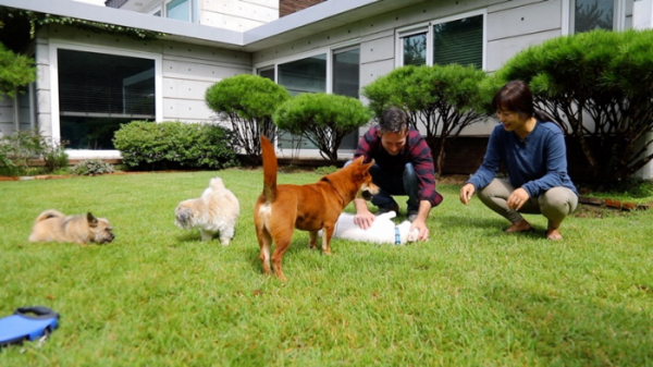 ▲'동물극장 단짝'(사진제공=KBS 1TV)