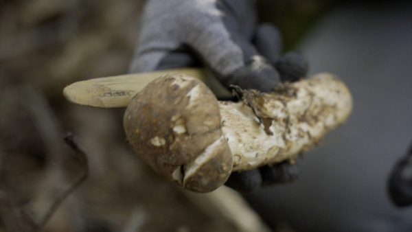 ▲'극한직업'(사진제공=EBS1)