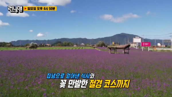 ▲철원 고석정 꽃밭(사진=SBS 방송화면 캡처)