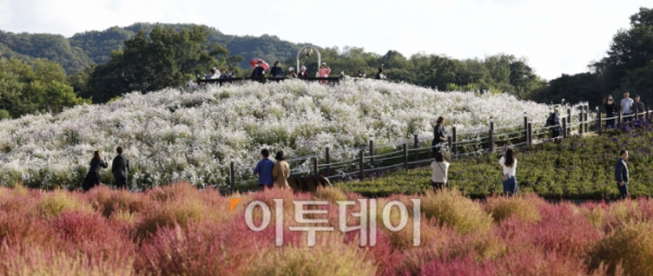 ▲7일 경기도 양주 나리공원에서 나들이객들이 가을을 만끽하고 있다. 고이란 기자 photoeran@