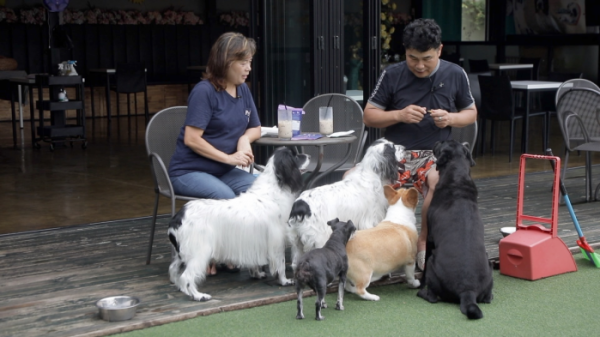 ▲'동물극장 단짝'(사진제공=KBS 1TV)