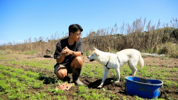 ▲'동물극장 단짝'(사진제공=KBS 1TV)