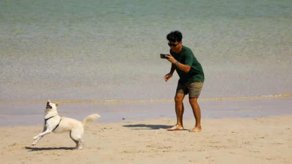 ▲'동물극장 단짝'(사진제공=KBS 1TV)