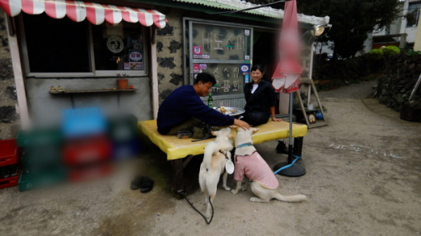 ▲'동물극장 단짝'(사진제공=KBS 1TV)