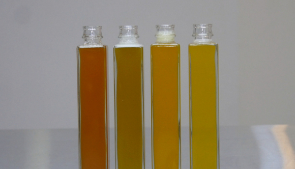 ▲'극한직업'(사진제공=EBS1)