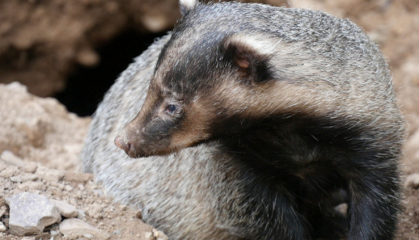 ▲'극한직업'(사진제공=EBS1)