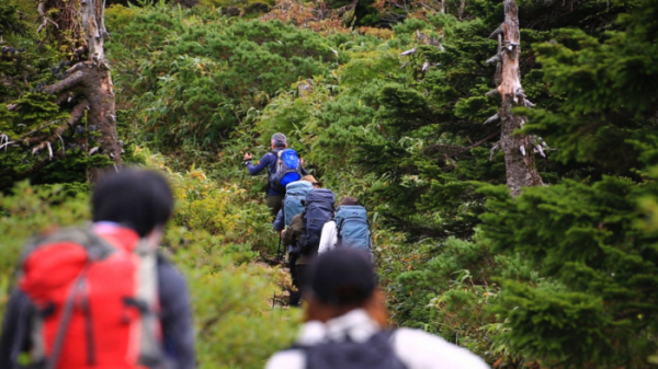 ▲'영상앨범 산'(사진제공=KBS 2TV)