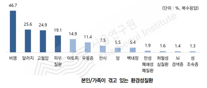 (자료제공=서울연구원)