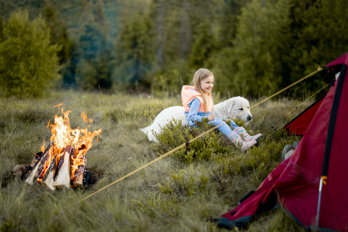 ▲반려동물과 함께하는 액티비티 (게티이미지뱅크)
