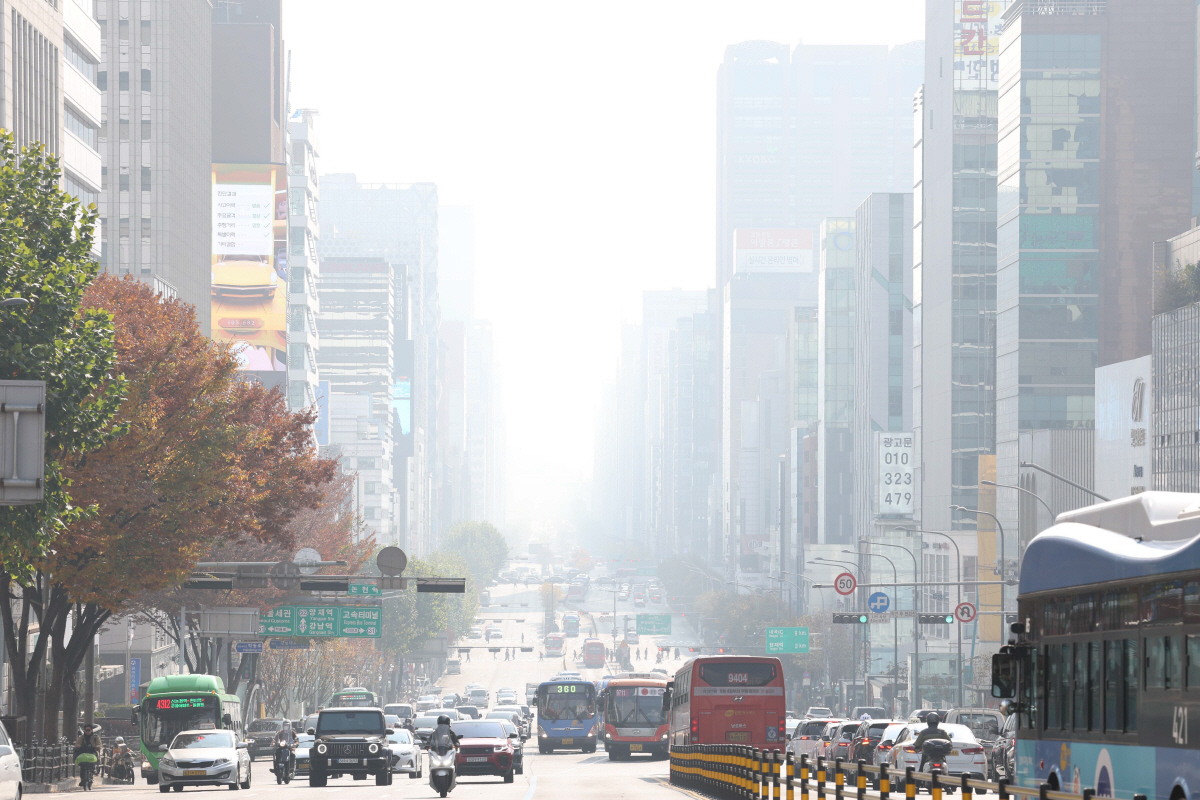 ▲신태현 기자 holjjak@
