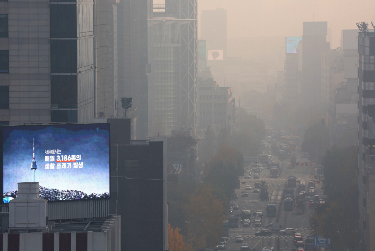 ▲신태현 기자 holjjak@