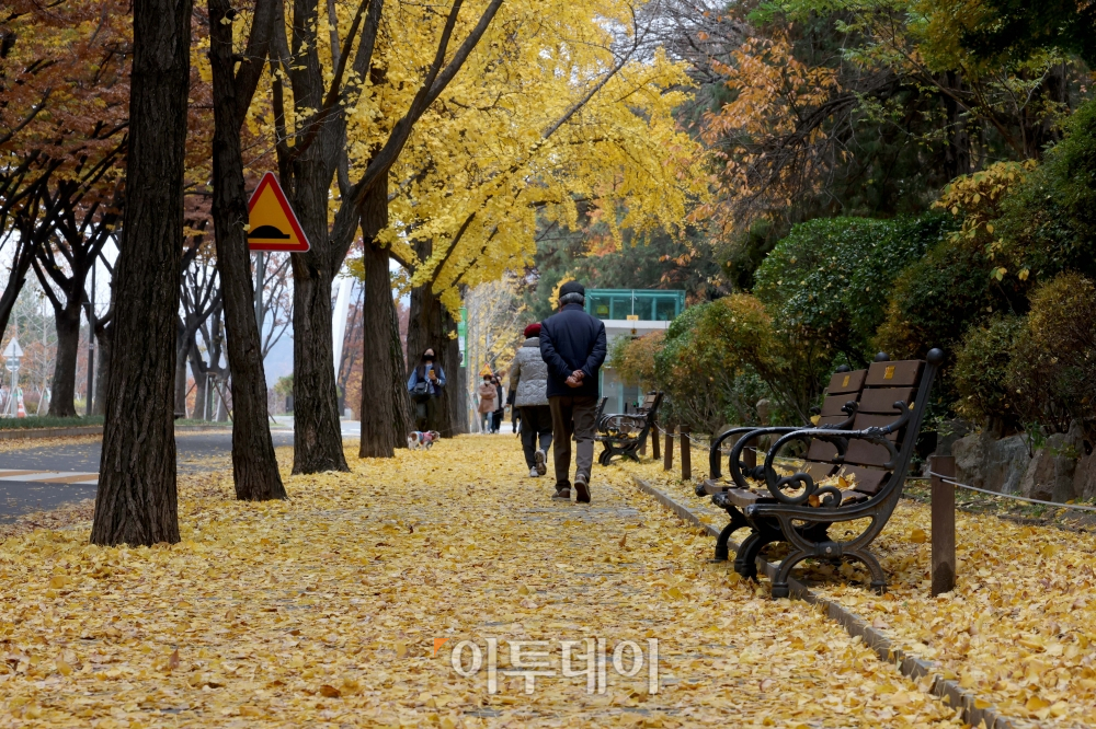 ▲13일 서울 동작구 보라매공원 앞에 전날 내린 비로 낙엽이 떨어져 있다. 신태현 기자 holjjak@