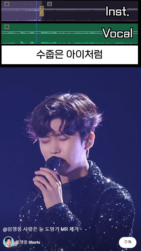 ▲가수 임영웅 (사진=임영웅 유튜브)