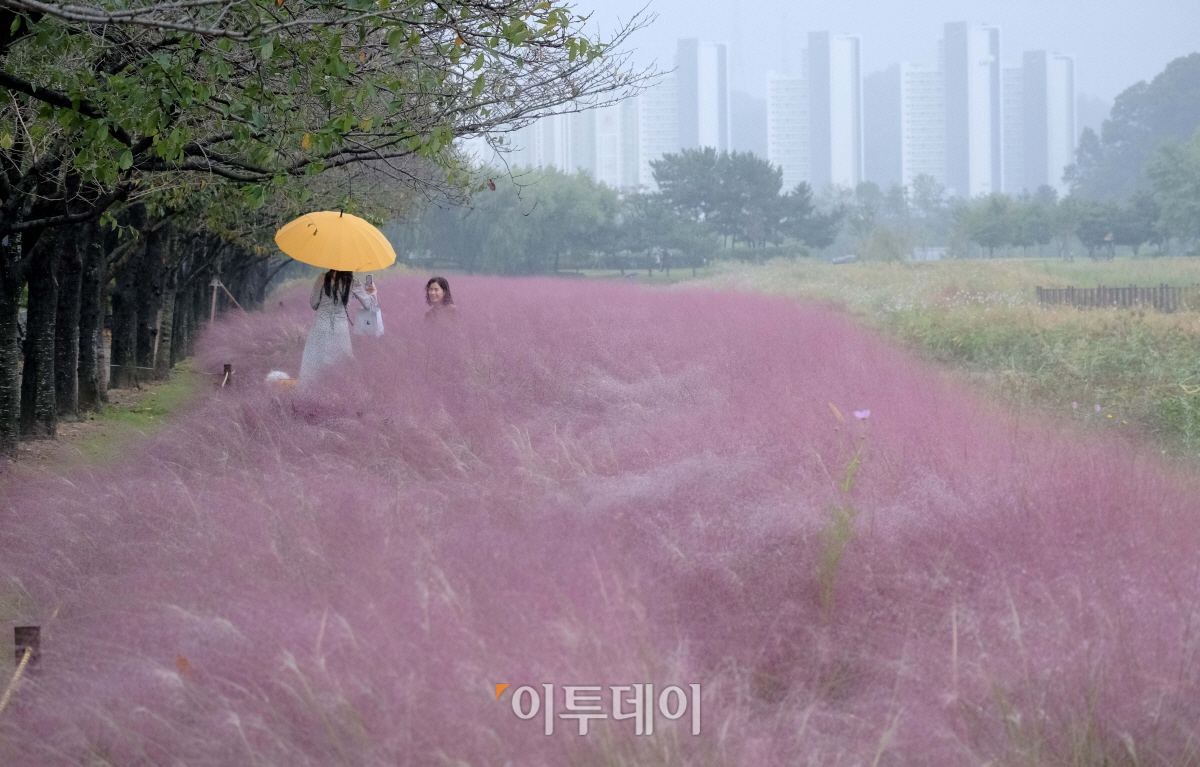 ▲신태현 기자 holjjak@