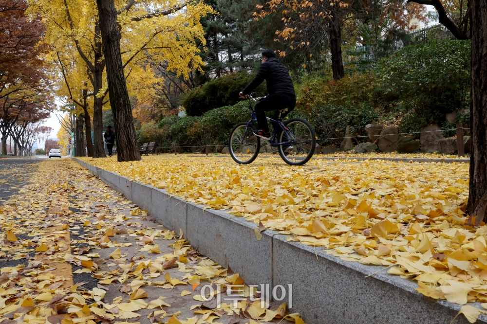 ▲13일 서울 동작구 보라매공원 앞에 전날 내린 비로 낙엽이 떨어져 있다. 신태현 기자 holjjak@ (이투데이DB)