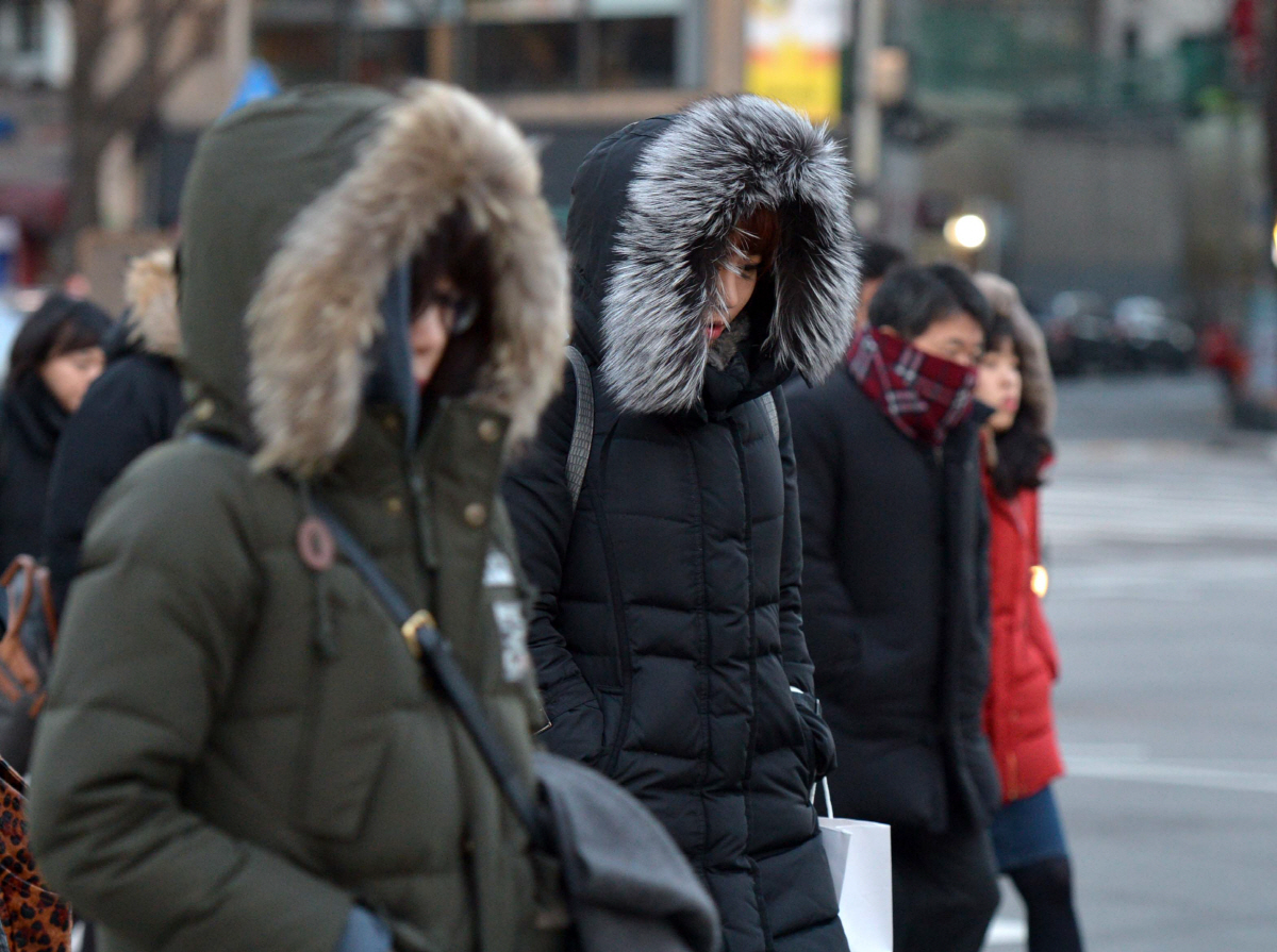 ▲신태현 기자 holjjak@
