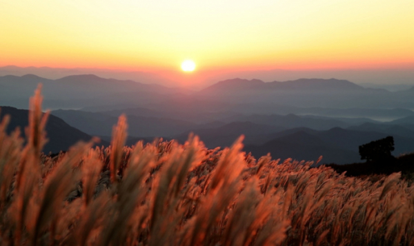 ▲'한국기행'(사진제공=EBS1)