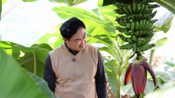 ▲'동네한바퀴' 원주(사진제공=KBS 1TV)