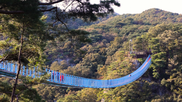 ▲'동네한바퀴' 원주(사진제공=KBS 1TV)