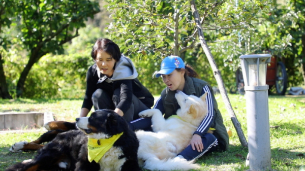 ▲'동물극장 단짝'(사진제공=KBS 1TV)