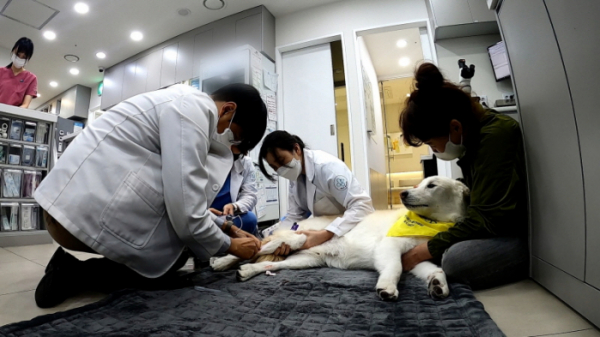 ▲'동물극장 단짝'(사진제공=KBS 1TV)