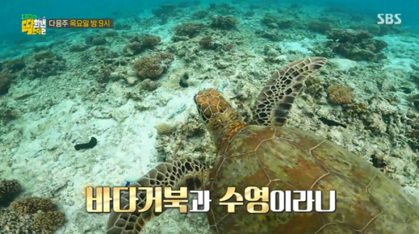 ▲‘딱 한 번 간다면’ 호주 브리즈번(사진제공=SBS)