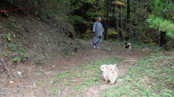 ▲'동물극장 단짝'(사진제공=KBS 1TV)