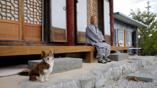 ▲'동물극장 단짝'(사진제공=KBS 1TV)