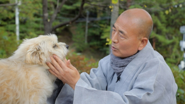 ▲'동물극장 단짝'(사진제공=KBS 1TV)