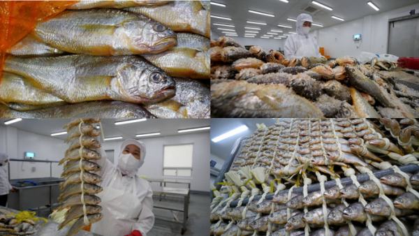 ▲'극한직업'(사진제공=EBS1)