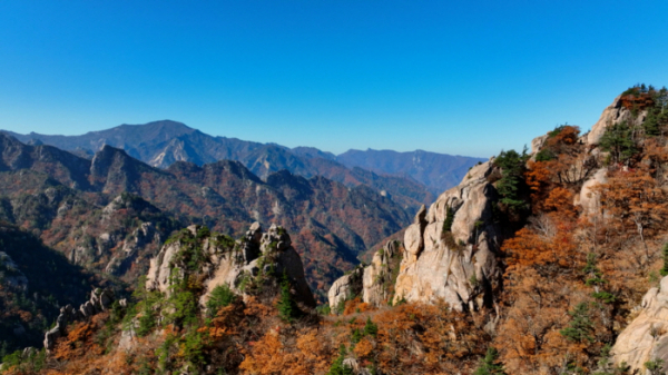 ▲'영상앨범 산'(사진제공=KBS 2TV)