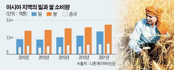 ▲인도 잠무 외곽에서 한 농부가 밀을 수확하고 있다. 잠무(인도)/AP뉴시스
