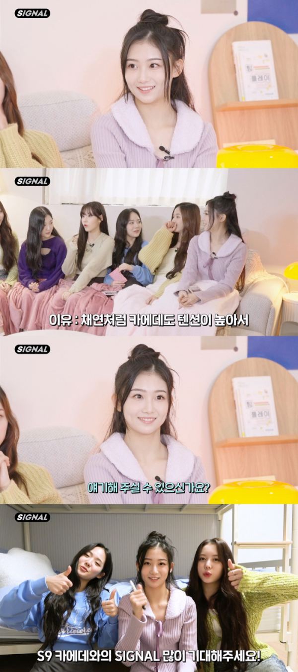 ▲트리플에스 카에데(사진=모드하우스 제공)