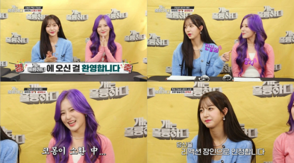 ▲네이처 소희X채빈(사진 = KBS 2TV '개는 훌륭하다' 방송 캡처)