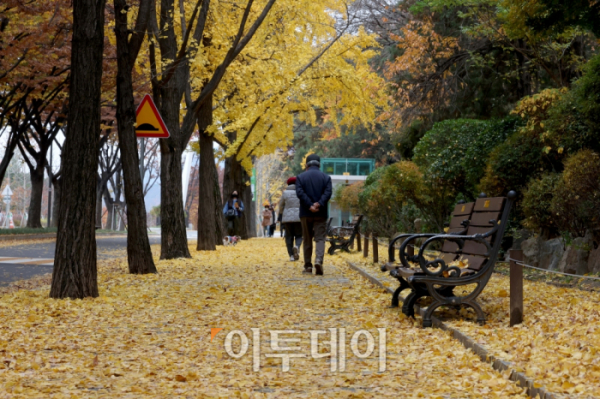 ▲13일 서울 동작구 보라매공원 앞에 전날 내린 비로 낙엽이 떨어져 있다. 신태현 기자 holjjak@
