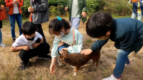 ▲'동물극장 단짝'(사진제공=KBS 1TV)