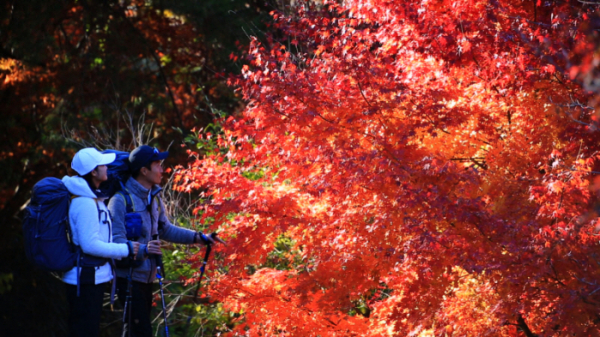 ▲'영상앨범 산' 덕유산(사진제공=KBS 2TV)