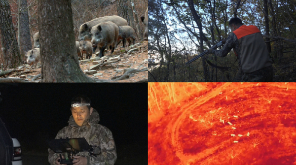 ▲'극한직업'(사진제공=EBS1)