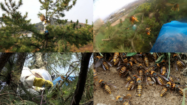 ▲'극한직업'(사진제공=EBS1)