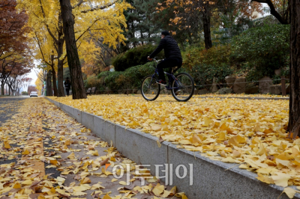 ▲13일 서울 동작구 보라매공원 앞에 전날 내린 비로 낙엽이 떨어져 있다. 신태현 기자 holjjak@ (이투데이DB)