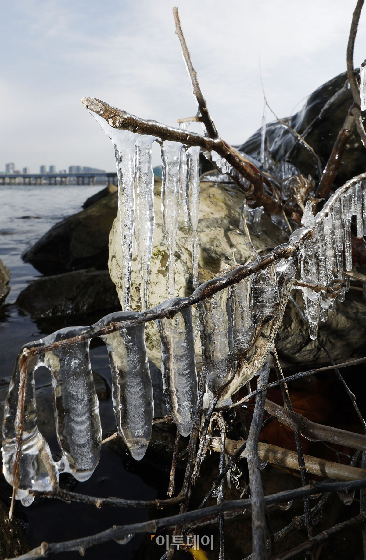 (조현호 기자 hyunho@)