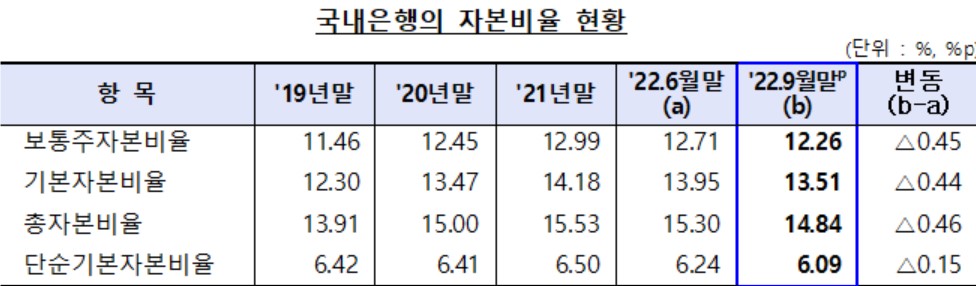 (자료제공=금융감독원)