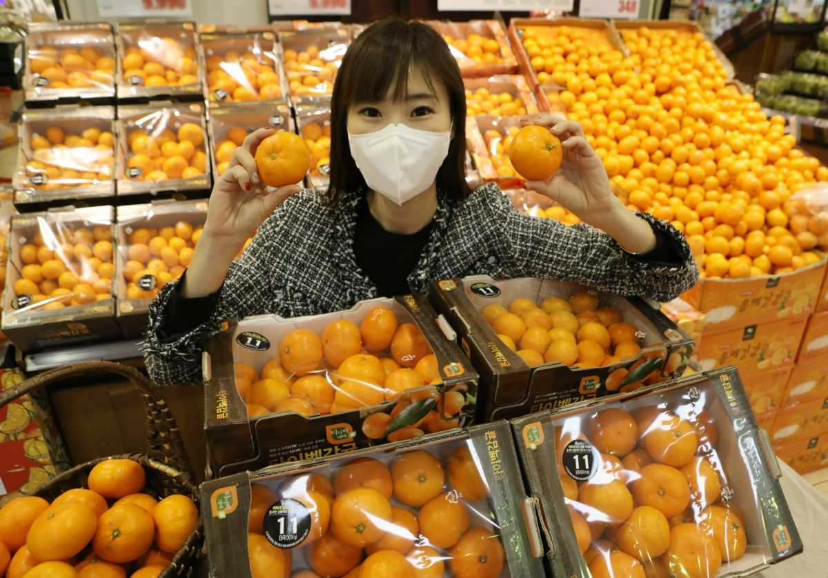 ▲롯데마트 서울역점 농산 코너에서 '제주 타이벡 감귤'을 홍보하고 있다.  (사진제공=롯데쇼핑)