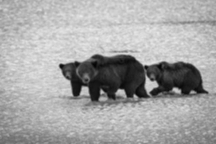 ▲위 이미지는 기사내용과 관련없음. (출처=게티이미지뱅크)