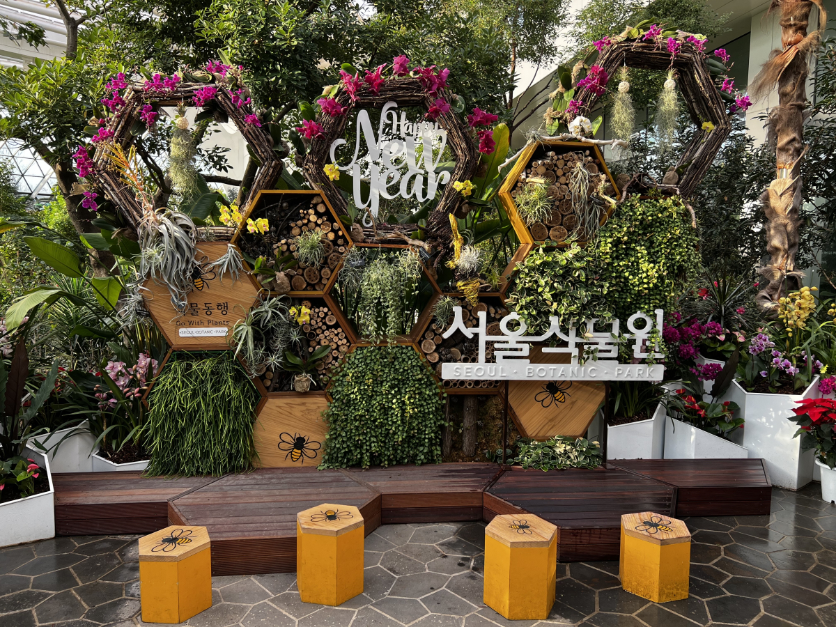 ▲전시온실 (사진제공=서울식물원)