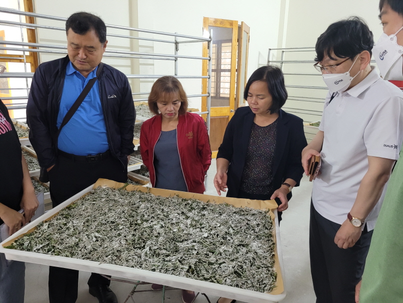 ▲농촌진흥청 해외농업기술개발사업(KOPIA) 베트남 센터 관계자들이 현지 양잠 농가와 누에를 살펴보고 있다. (사진제공=농촌진흥청)