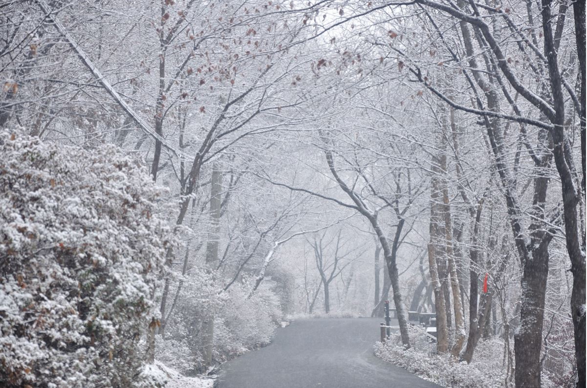 ▲서울둘레길 겨울풍경 (사진제공=서울시)